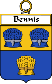 Irish Badge for Bennis