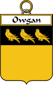 Irish Badge for Owgan