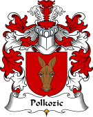 Polish Coat of Arms for Polkozic