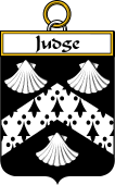 Irish Badge for Judge