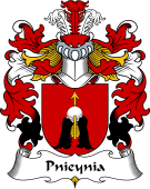 Polish Coat of Arms for Pnieynia