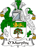 Irish Coat of Arms for O'Murphy or Morchoe