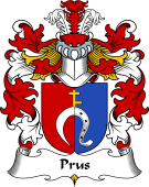 Polish Coat of Arms for Prus III