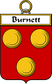 Irish Badge for Burnett