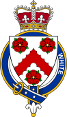 British Garter Coat of Arms for White (Ireland)