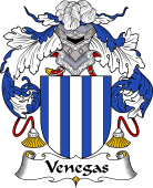 Portuguese Coat of Arms for Venegas