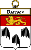 Irish Badge for Bateson