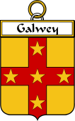 Irish Badge for Galwey
