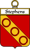Irish Badge for Stephens