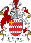 Irish Coat of Arms for O'Hussey or Hosey