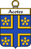 Irish Badge for Acotes