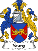 English Coat of Arms for the family Young II