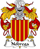 Portuguese Coat of Arms for Nóbrega