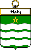 Irish Badge for Haly