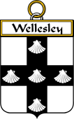 Irish Badge for Wellesley