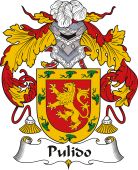 Spanish Coat of Arms for Pulido
