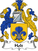 English Coat of Arms for the family Holt II