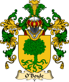 Irish Family Coat of Arms (v.25) O'Boyle