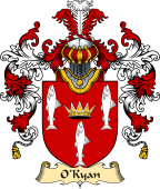 Irish Family Coat of Arms (v.25) O'Kyan