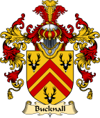 English Family Coat of Arms (v.25) Bucknall or Bucknell