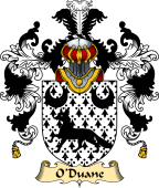 Irish Family Coat of Arms (v.25) O'Duane, Devine, Duana I