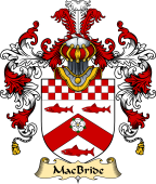 Irish Family Coat of Arms (v.25) MacBride