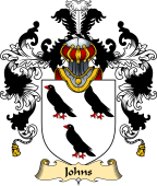 English Family Coat of Arms (v.25) Johns