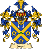 Irish Family Coat of Arms (v.25) Joynt