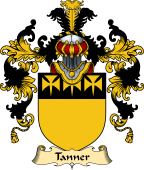 Irish Family Coat of Arms (v.25) Tanner