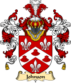 Irish Family Coat of Arms (v.25) Johnson