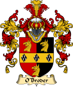 Irish Family Coat of Arms (v.25) O'Broder