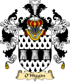 Irish Family Coat of Arms (v.25) O'Higgin