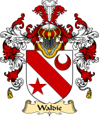 Irish Family Coat of Arms (v.25) Waddy or Waldie