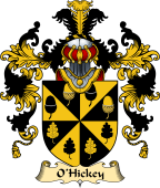 Irish Family Coat of Arms (v.25) O'Hickey II