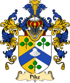 Irish Family Coat of Arms (v.25) Pike or Pyke