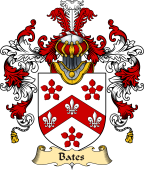 Irish Family Coat of Arms (v.25) Bates