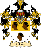 English Family Coat of Arms (v.25) Collard