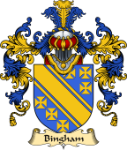 Irish Family Coat of Arms (v.25) Bingham