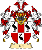 Irish Family Coat of Arms (v.25) Tate