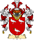 Irish Family Coat of Arms (v.25) Ash