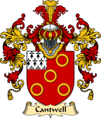 Irish Family Coat of Arms (v.25) Cantwell