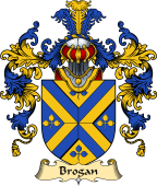 Irish Family Coat of Arms (v.25) Brogan or O'Brogan