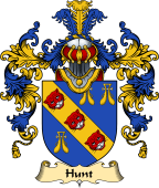 Irish Family Coat of Arms (v.25) Hunt