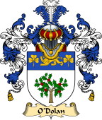 Irish Family Coat of Arms (v.25) O'Dolan I