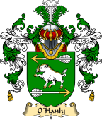 Irish Family Coat of Arms (v.25) O'Hanly