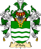 Irish Family Coat of Arms (v.25) O'Haly or Healy