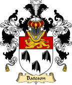 Irish Family Coat of Arms (v.25) Bateson