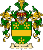 Irish Family Coat of Arms (v.25) Marward