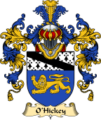 Irish Family Coat of Arms (v.25) O'Hickey I