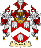 English Family Coat of Arms (v.25) Peacock II